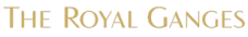 light logo
